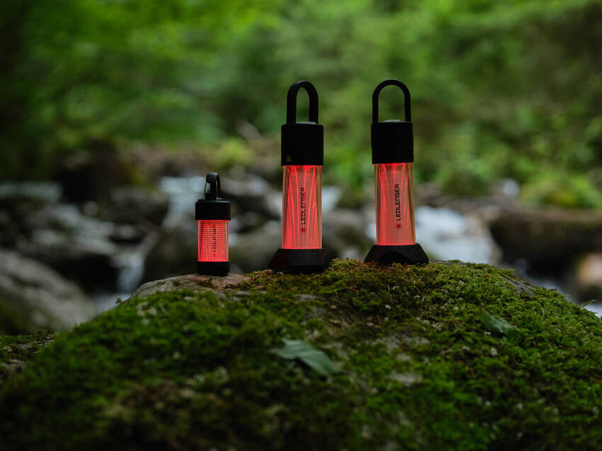 Ledlenser ML4 Warm Light Green (Limited Edition)